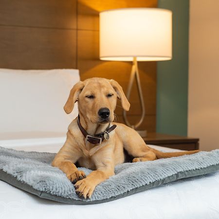 Staybridge Suites - Hillsboro North By Ihg Kültér fotó