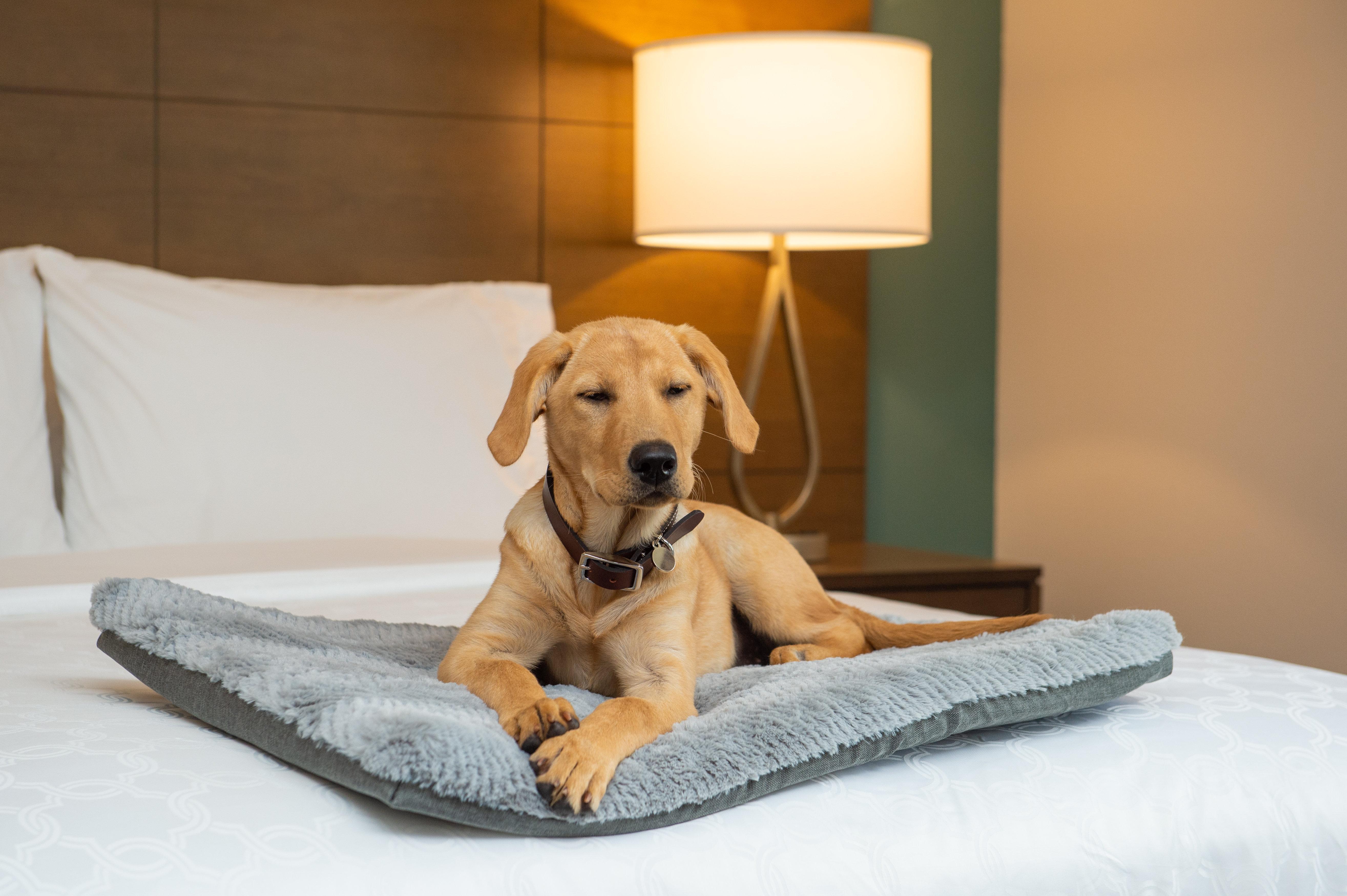 Staybridge Suites - Hillsboro North By Ihg Kültér fotó